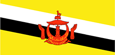 Invia fax in Brunei