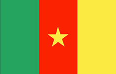 Invia fax in Cameroon