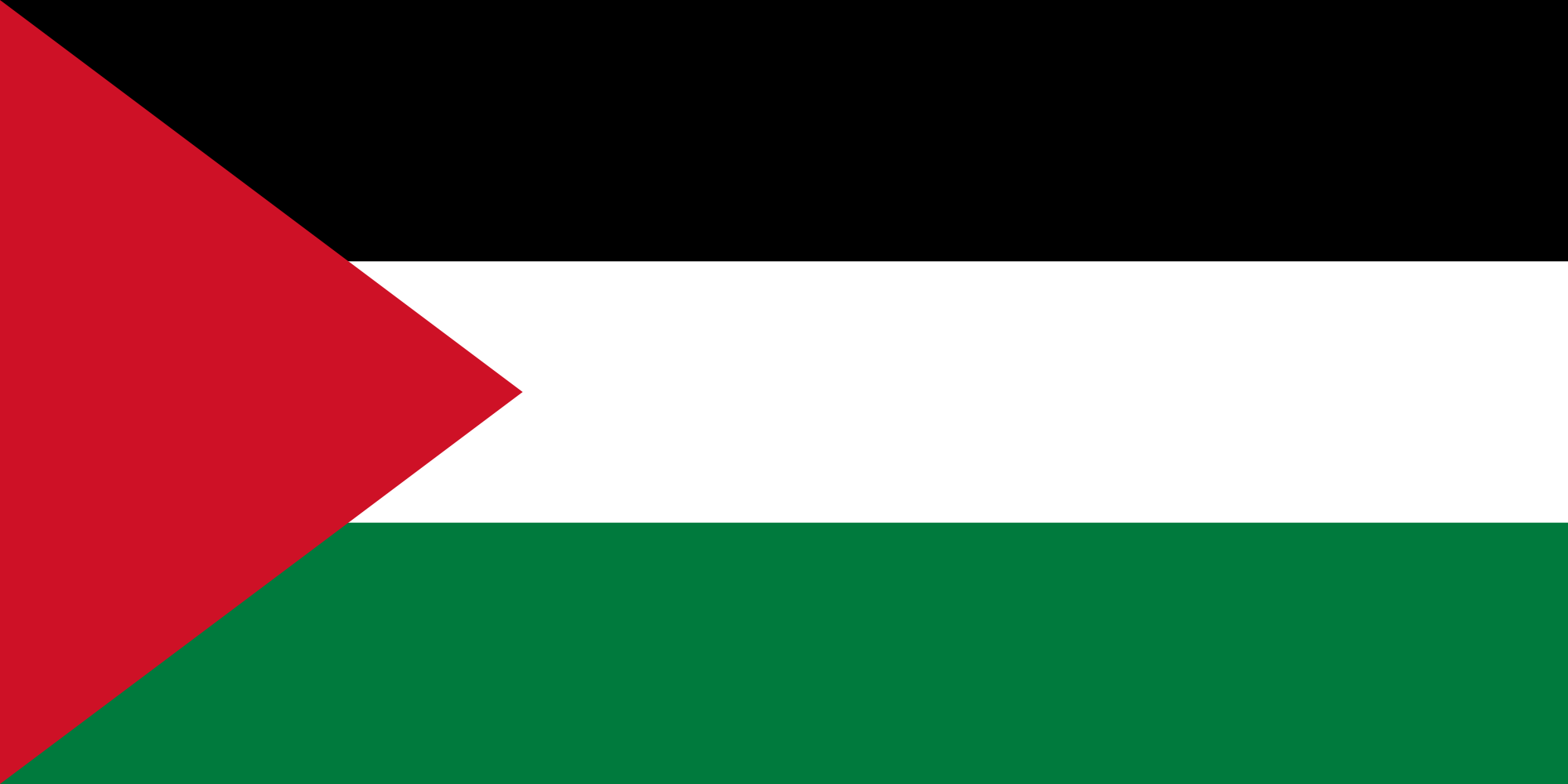 Invia fax in Palestine